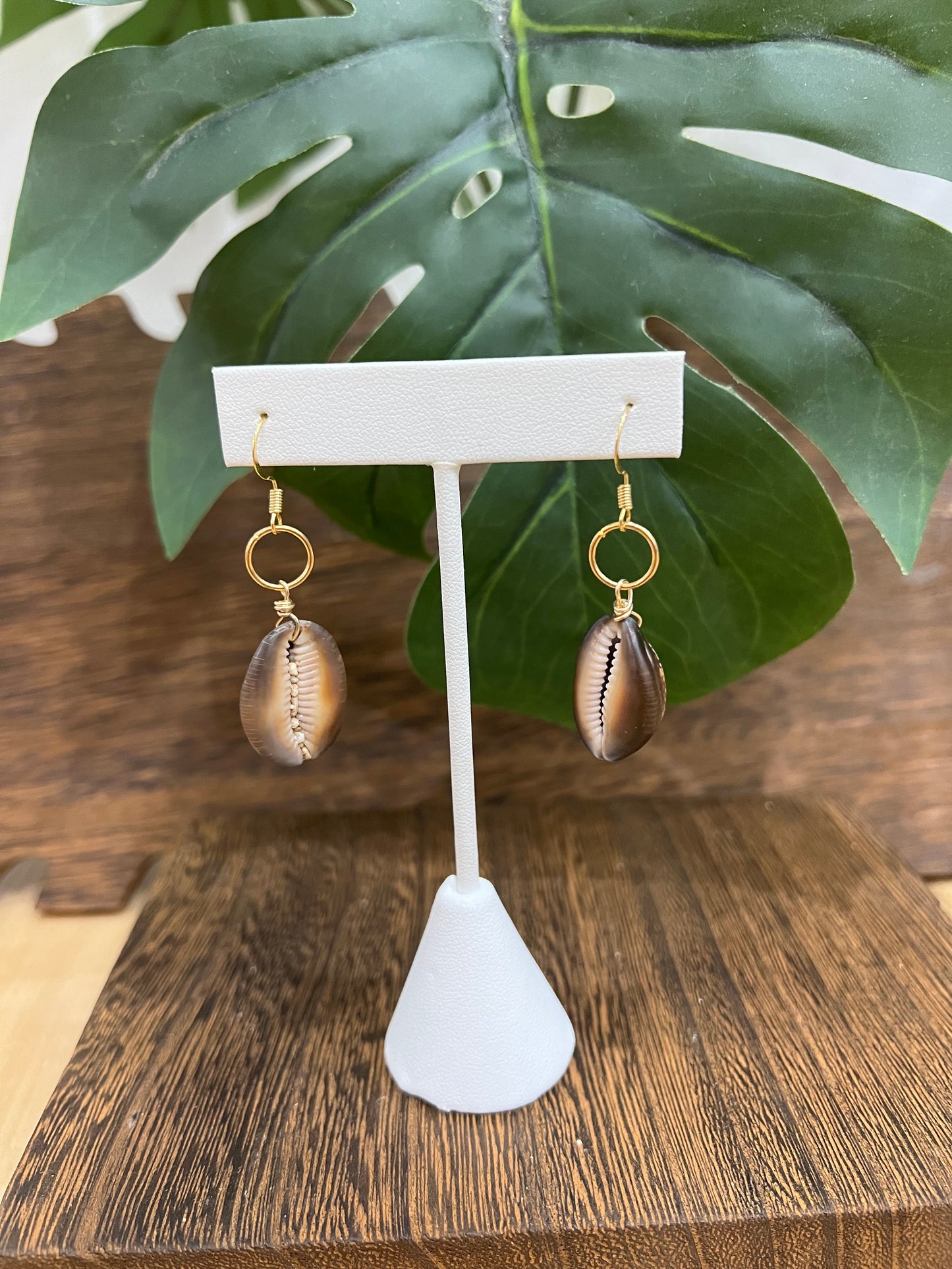 Cowrie Earrings