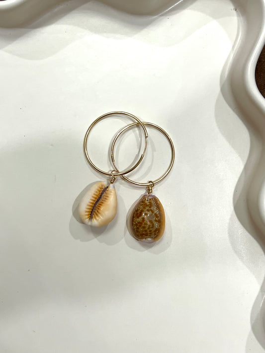 Honey cowrie hoops