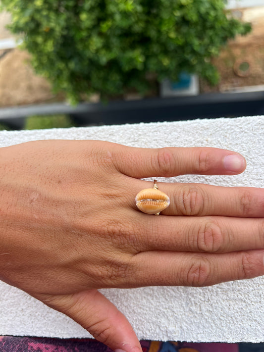 Honey Cowrie Ring
