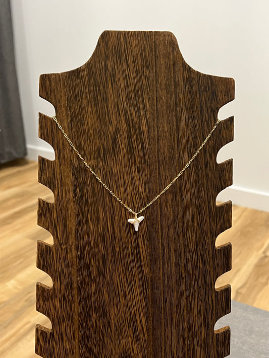 Shark tooth necklace
