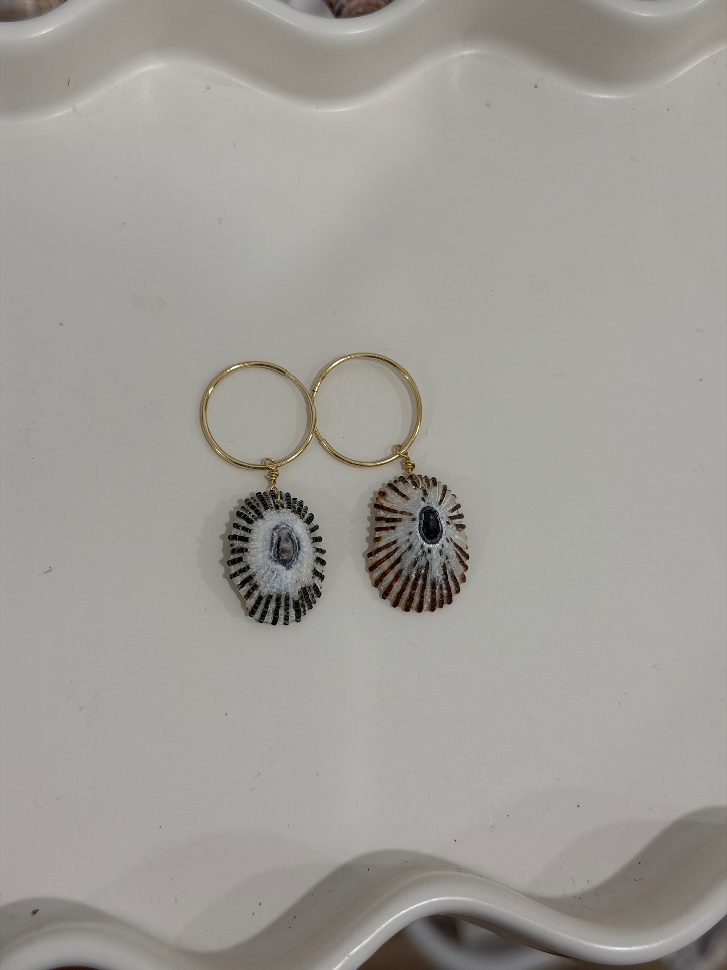 Opihi hoops